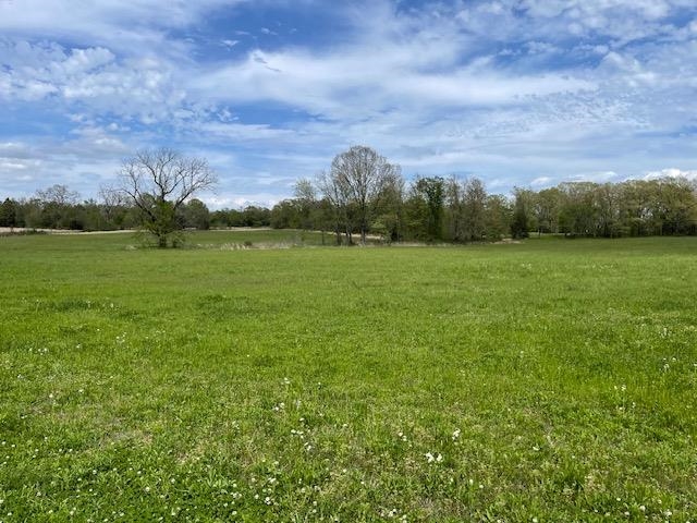 a view of a green field