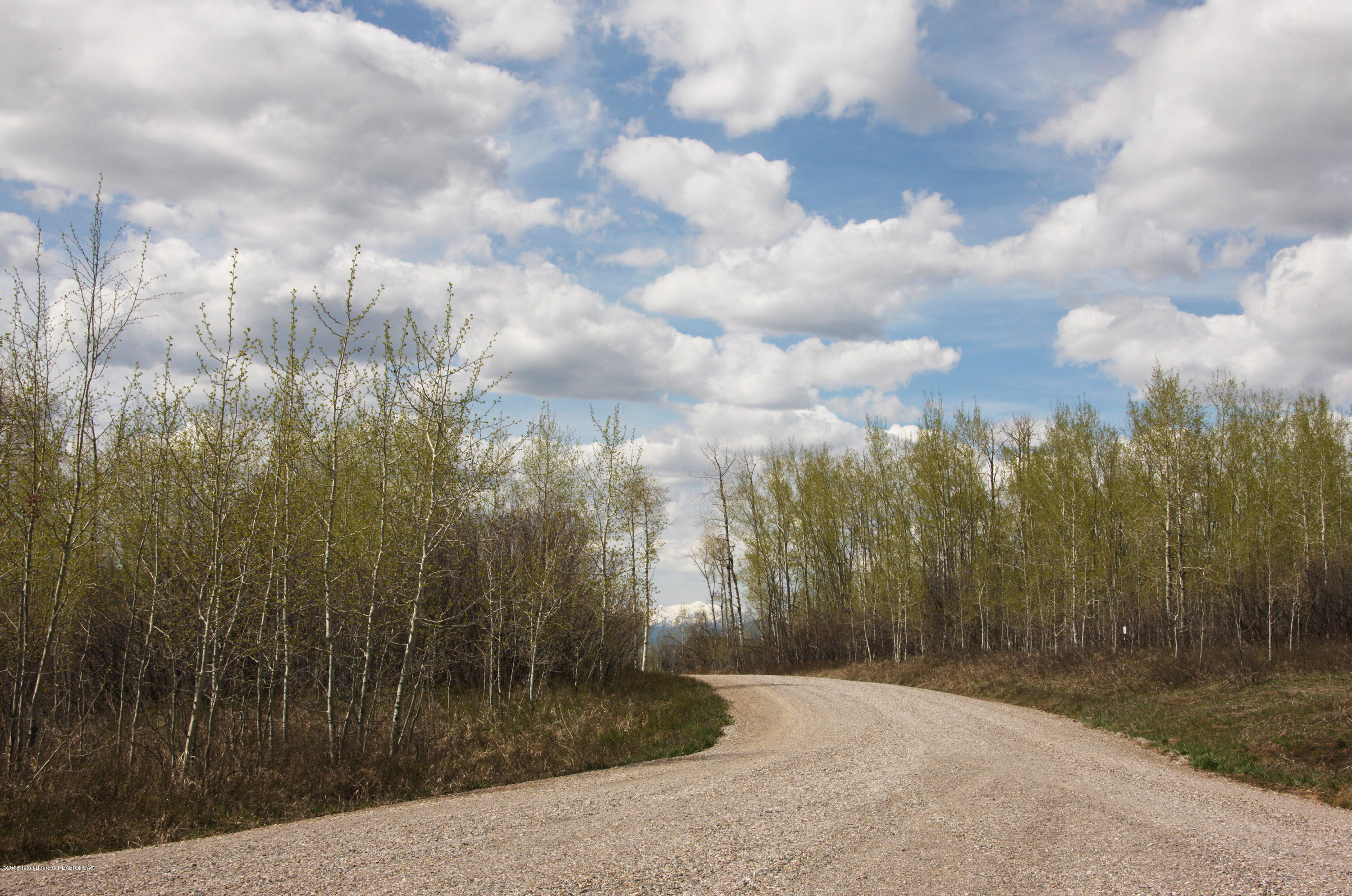 Aspens @ Clark Lane 300 dpi 1