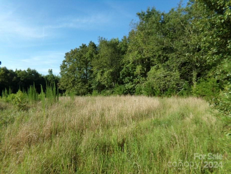 a view of a lush green space near a lake