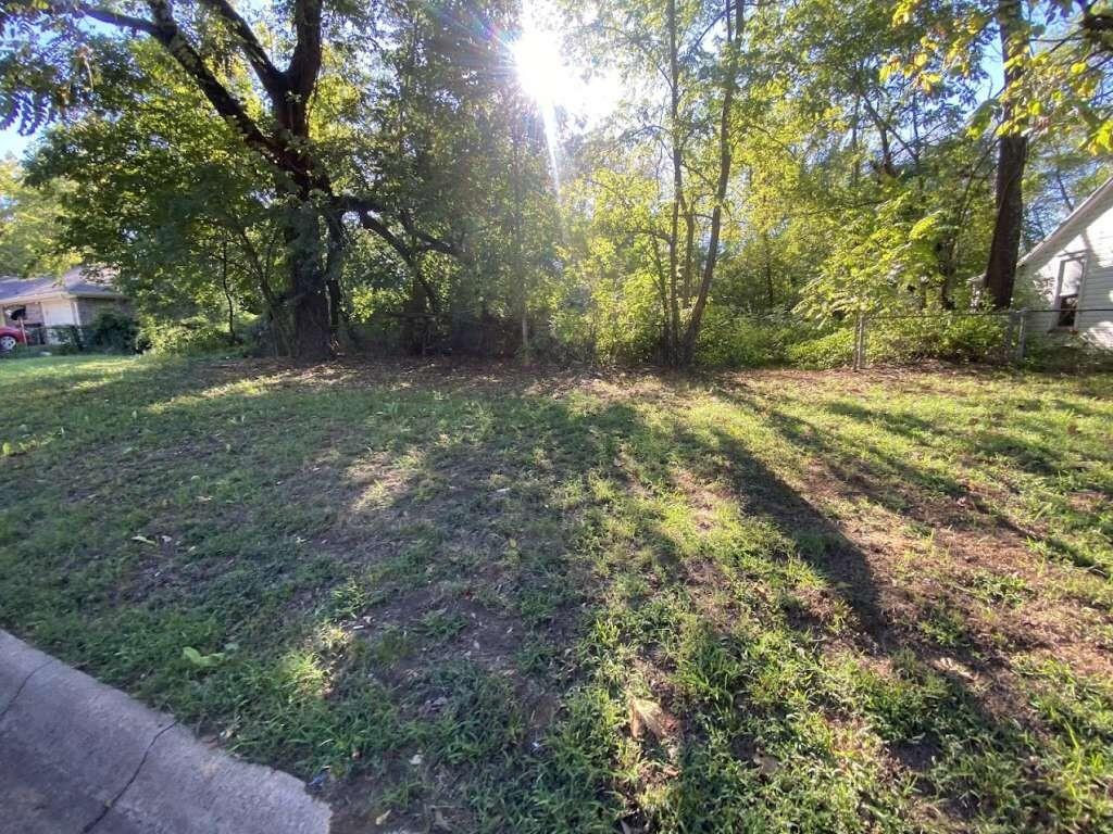 a view of outdoor space and yard