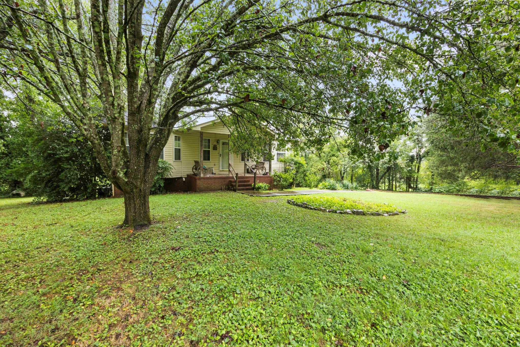 a view of a park with large trees