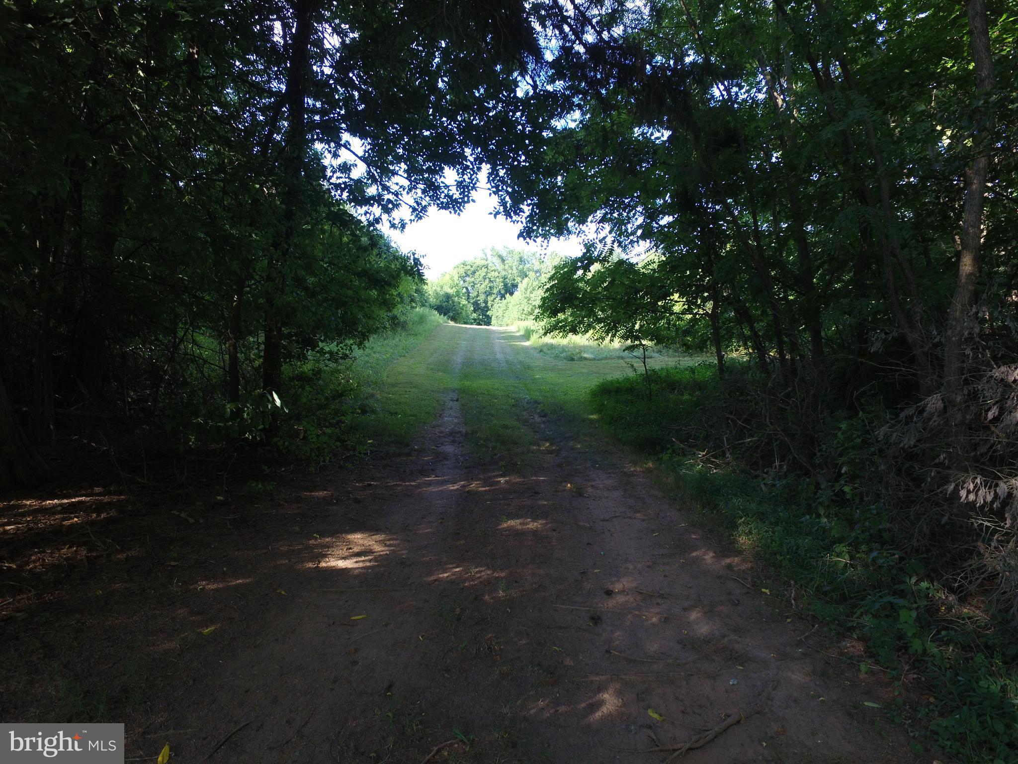 a view of a yard