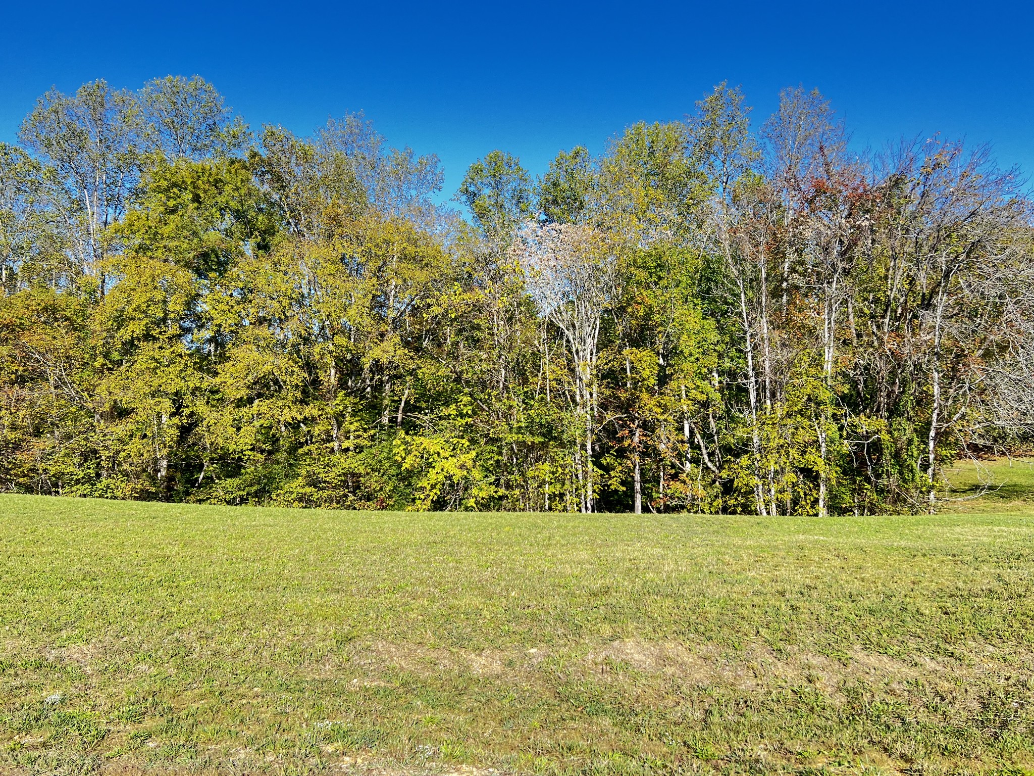 a view of green field