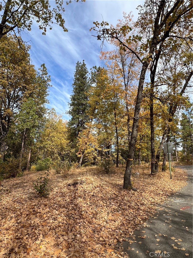 a view of outdoor space with trees