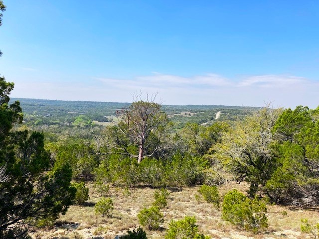 a view of a city with lush green forest