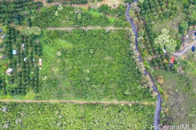 a view of a green yard with large trees