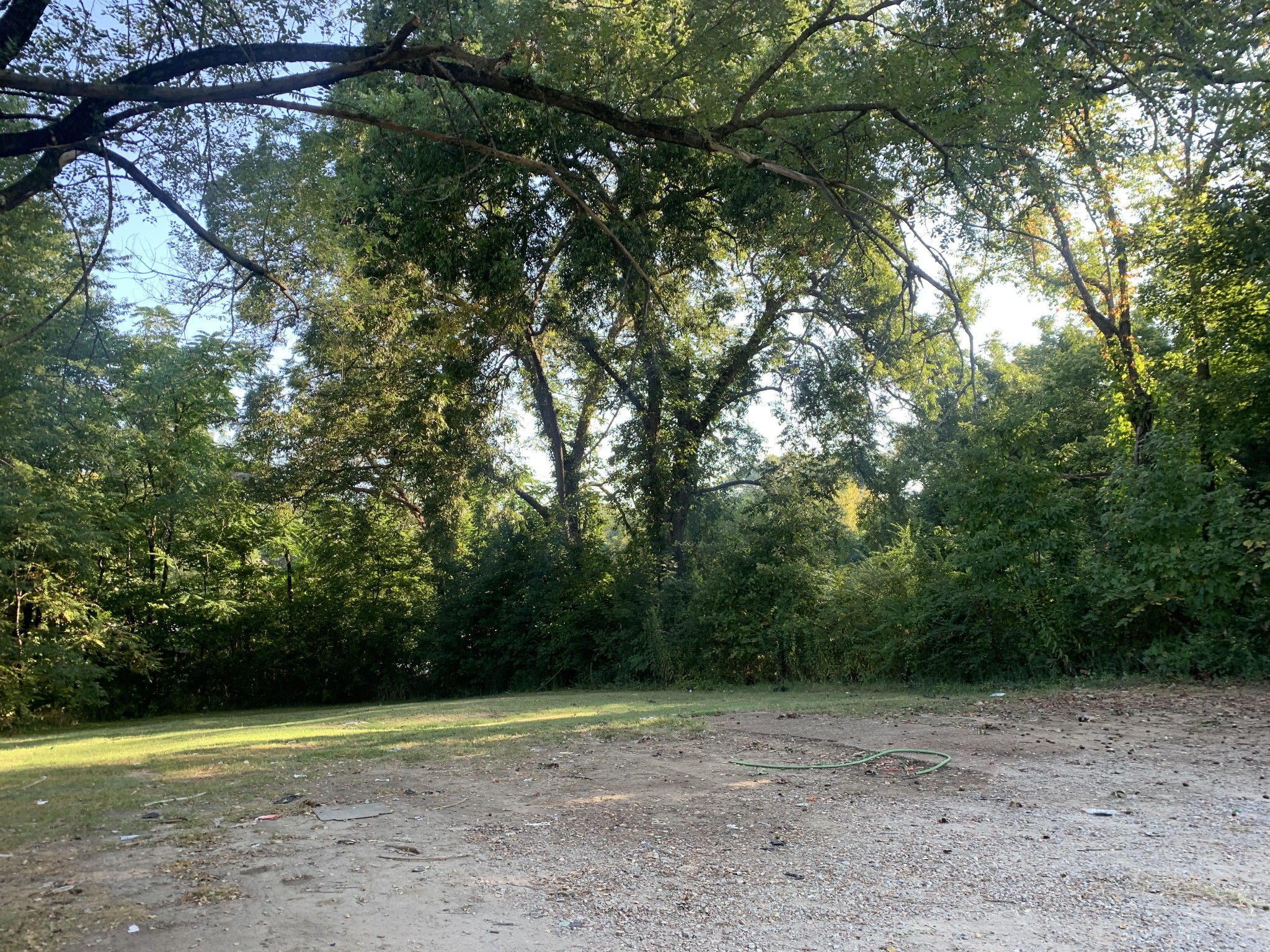 a view of a yard with a trees