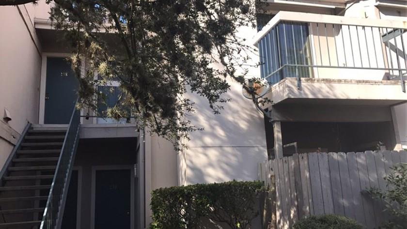 a view of a house with a tree