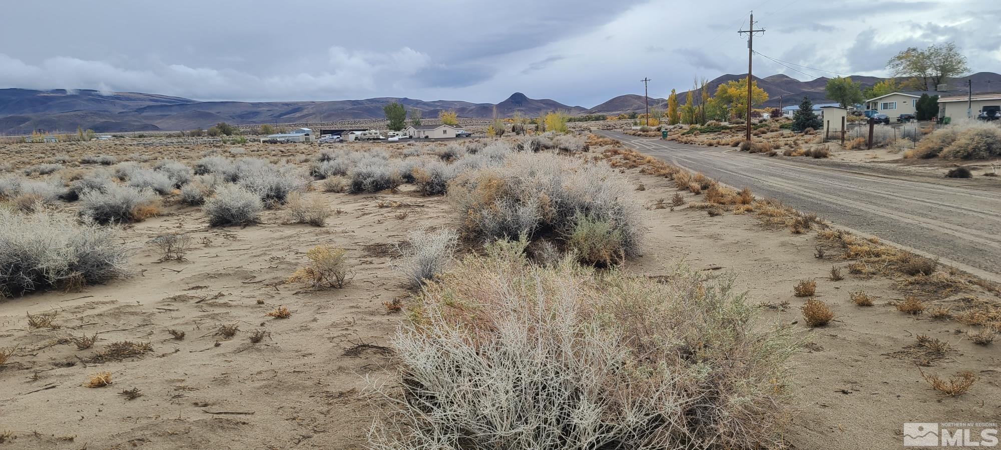 a view of a dry yard with trees