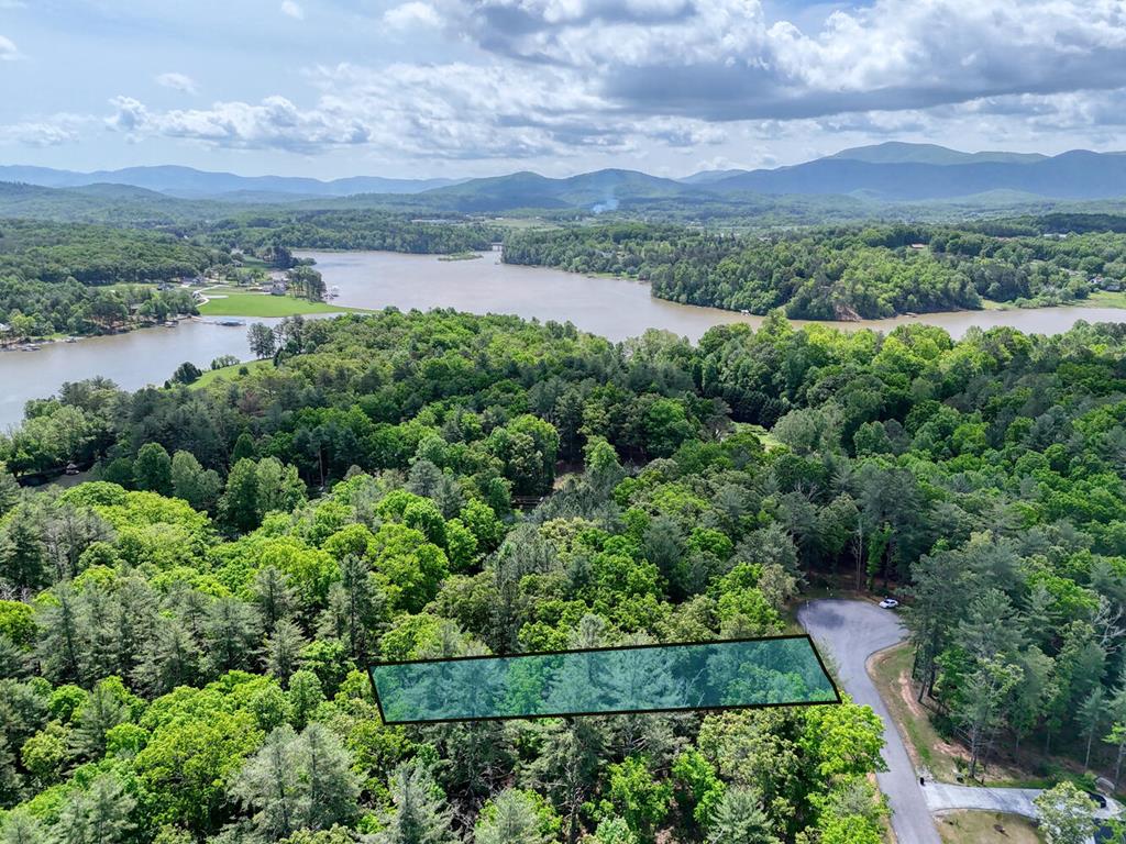 an aerial view of green landscape with trees houses and lake view