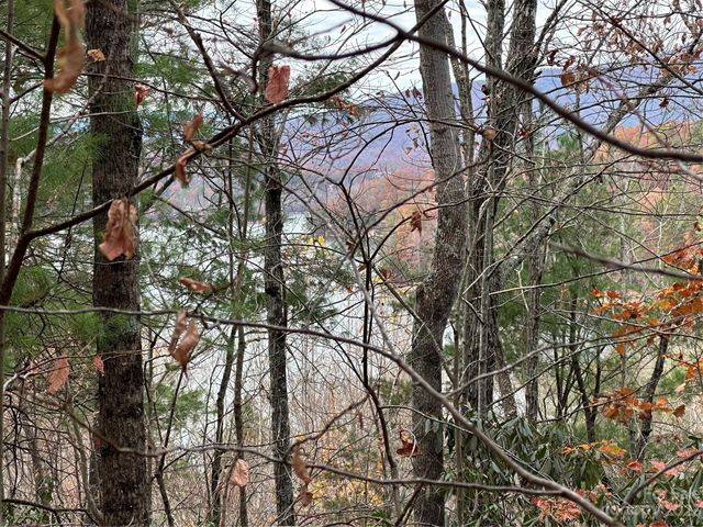 $110,000 | Lot 4 Waters Edge Drive, Unit 4 | Nebo Township - McDowell County