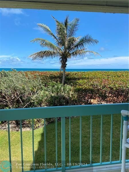 a view of a back yard