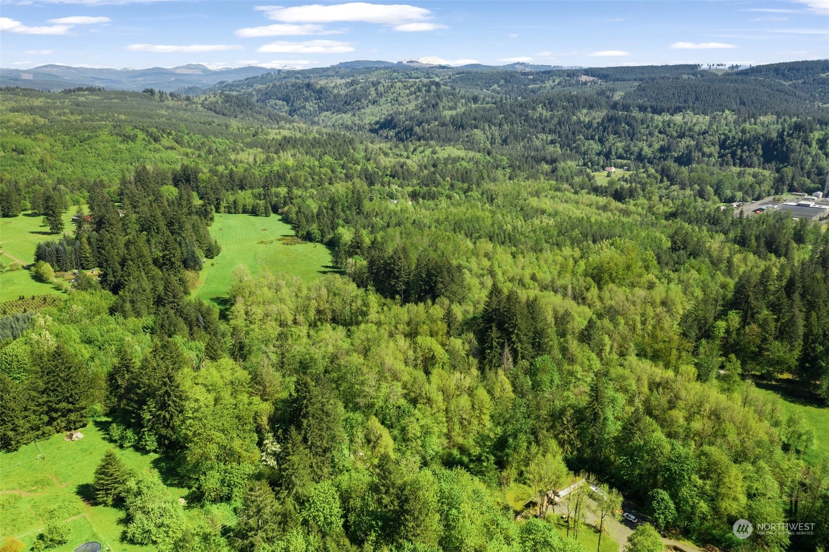 a view of a green field with lots of bushes