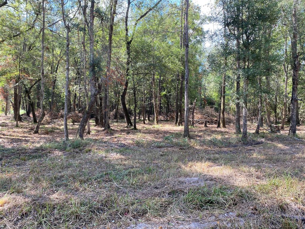 a view of outdoor space with trees