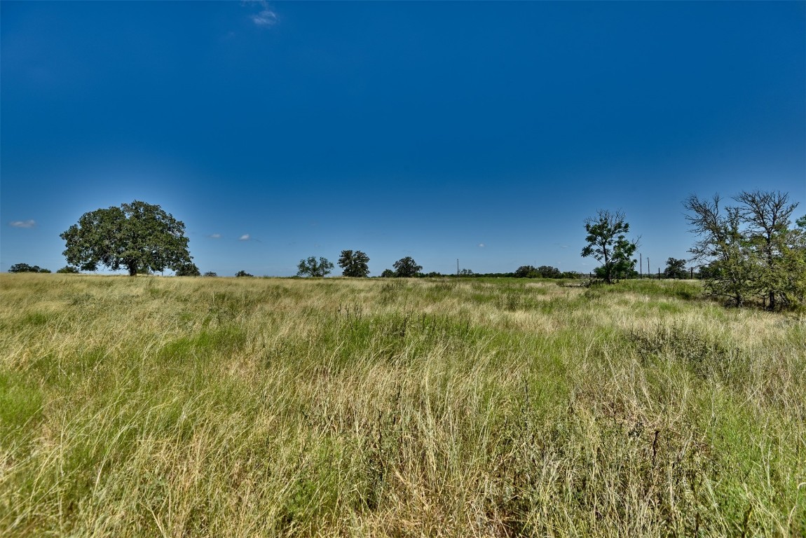 a view of a large green field