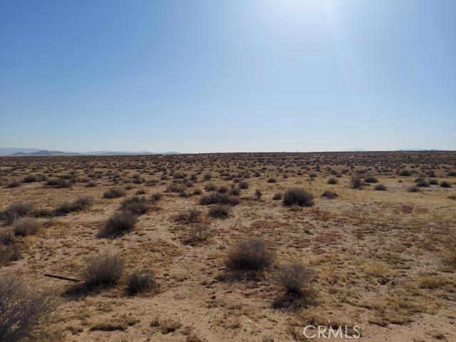 a view of a dry yard