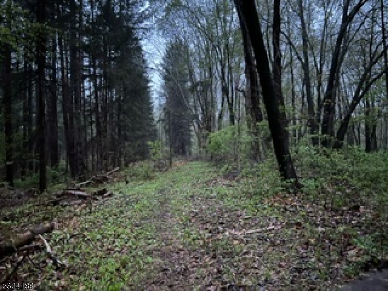 a view of outdoor space and green space