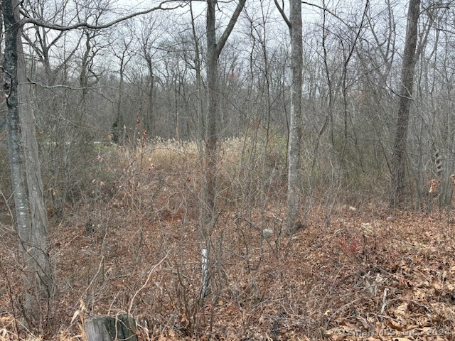 a view of a yard with lots of green space