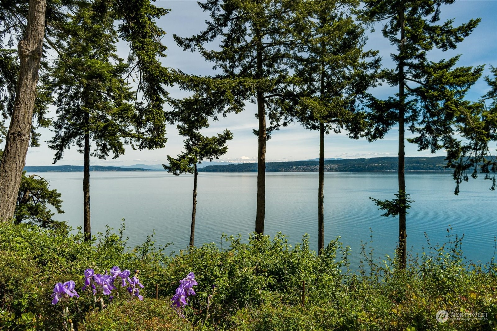 a view of a lake