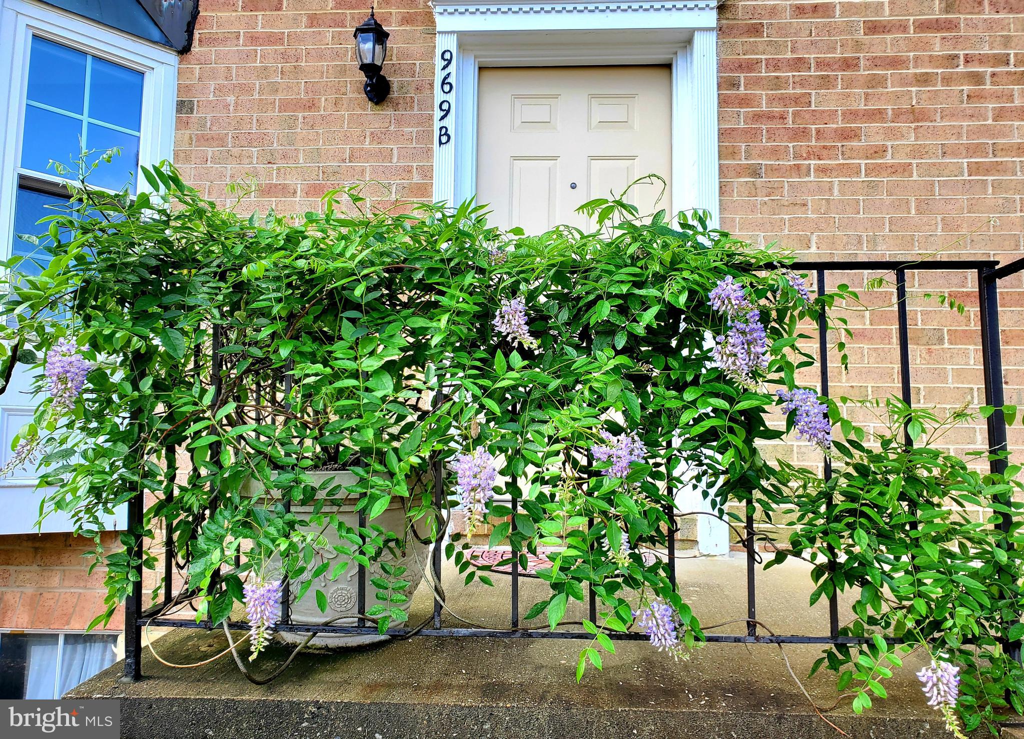 a couple of potted plants in front of door