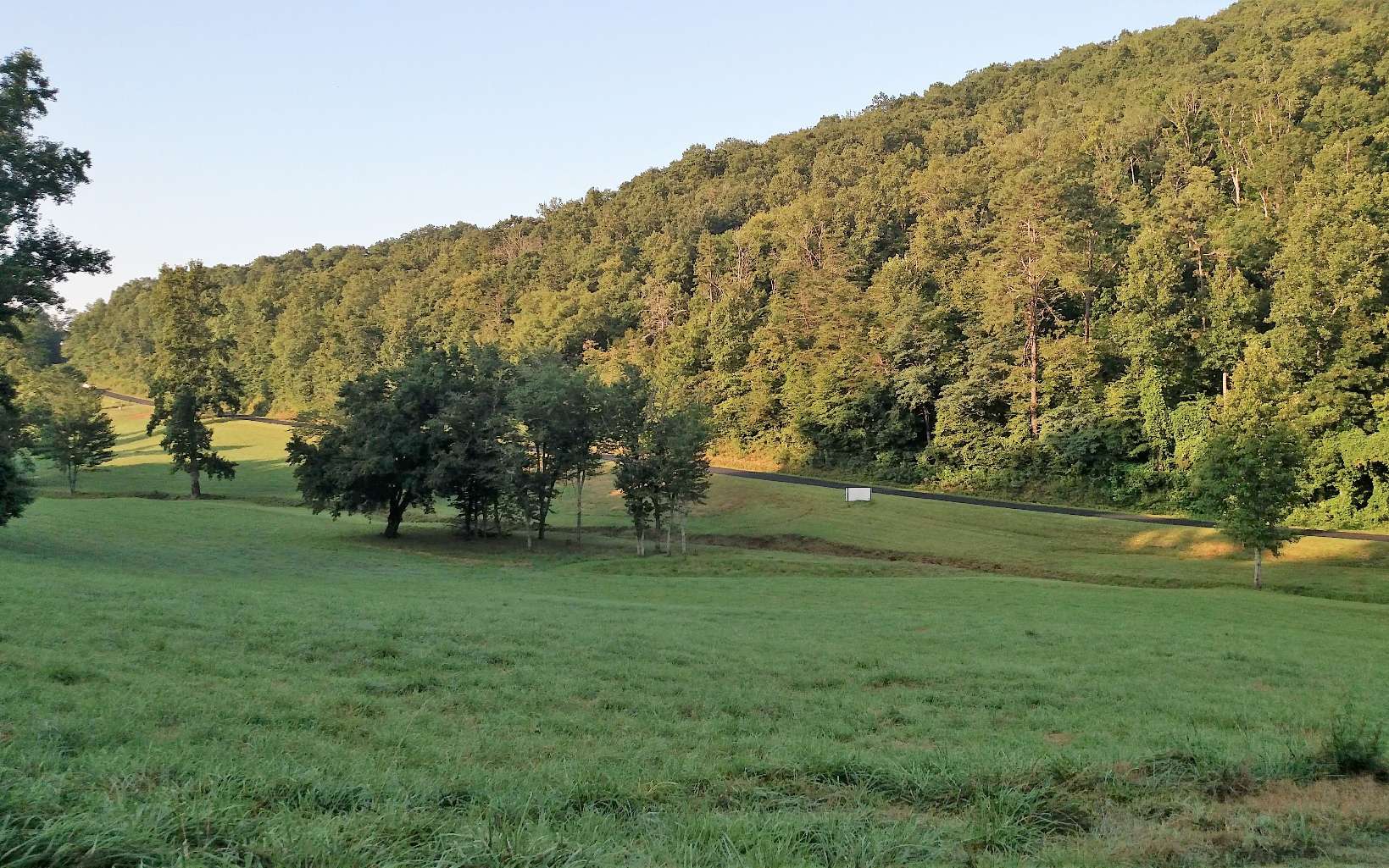 a view of a field with trees in the background