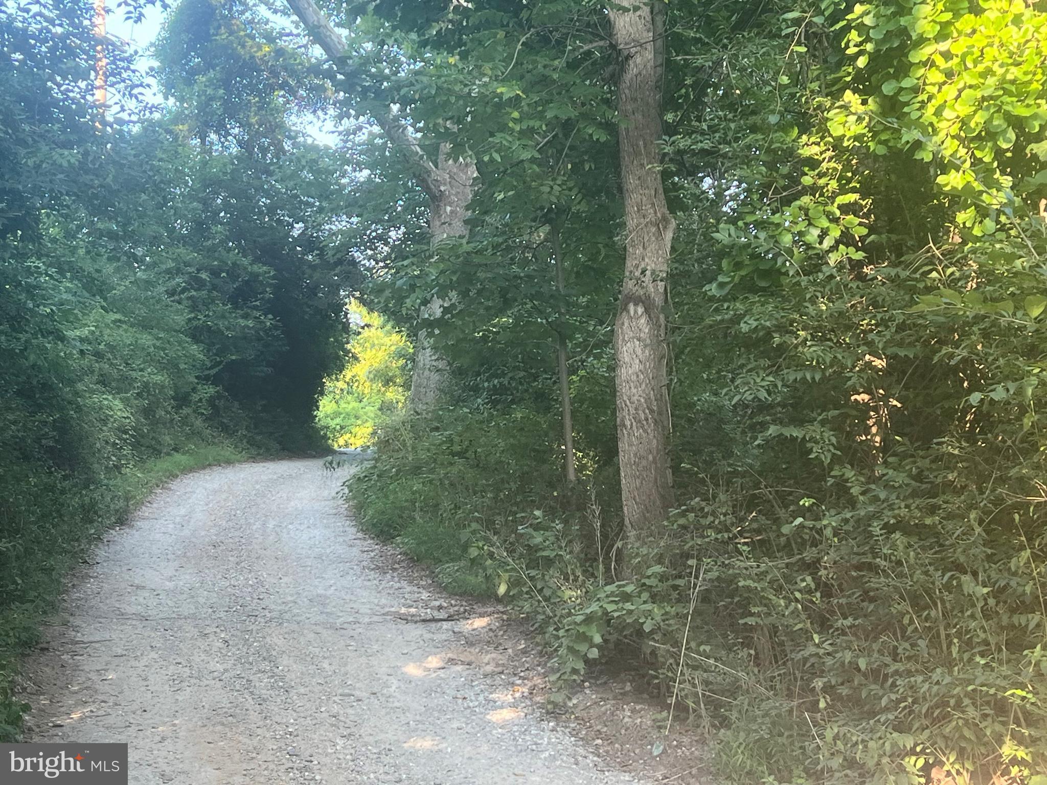 a pathway of a yard