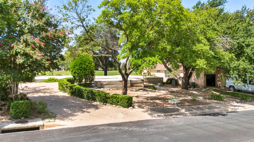 a view of a yard with plants and trees