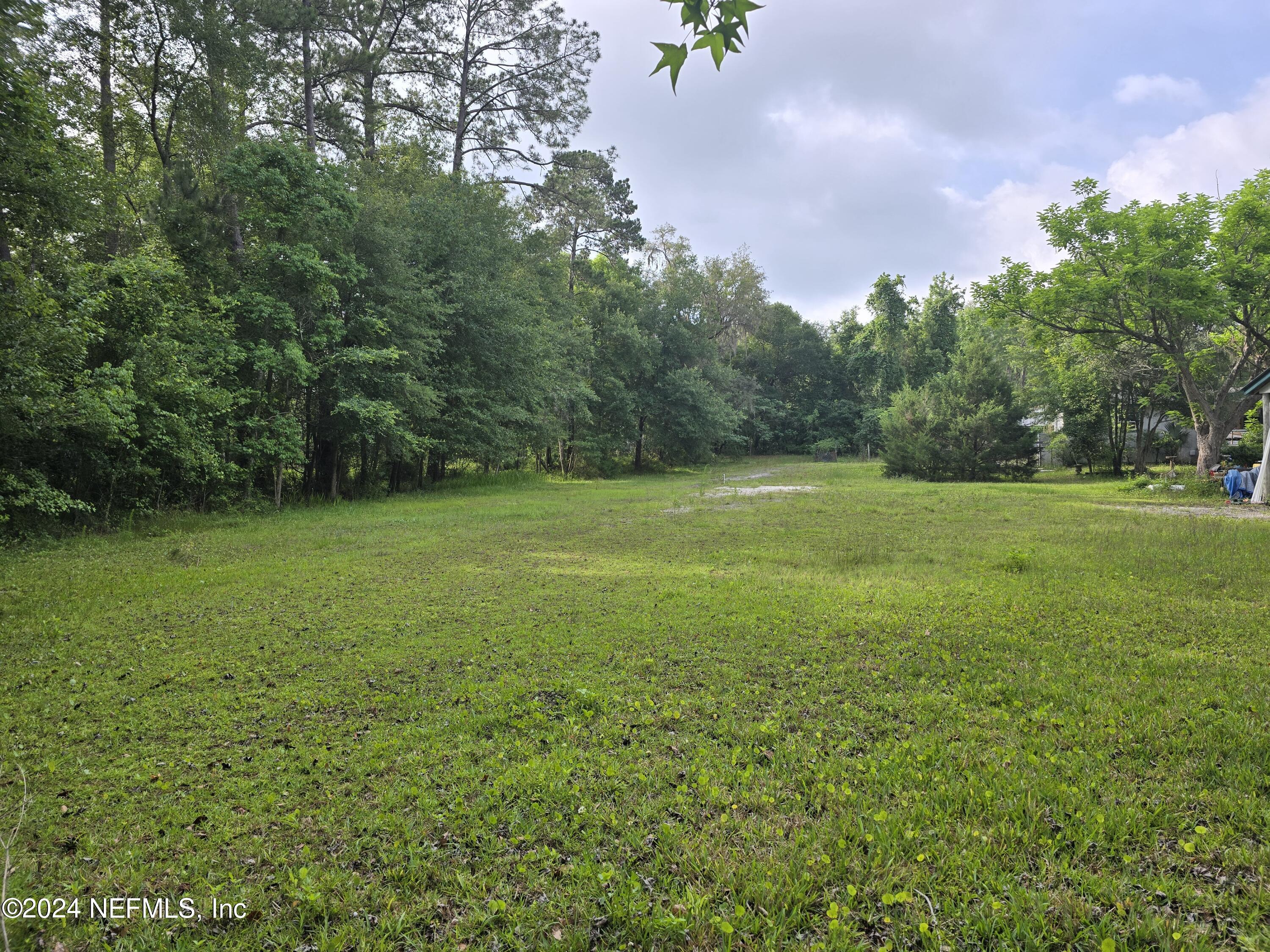 a view of a field with a trees in the background