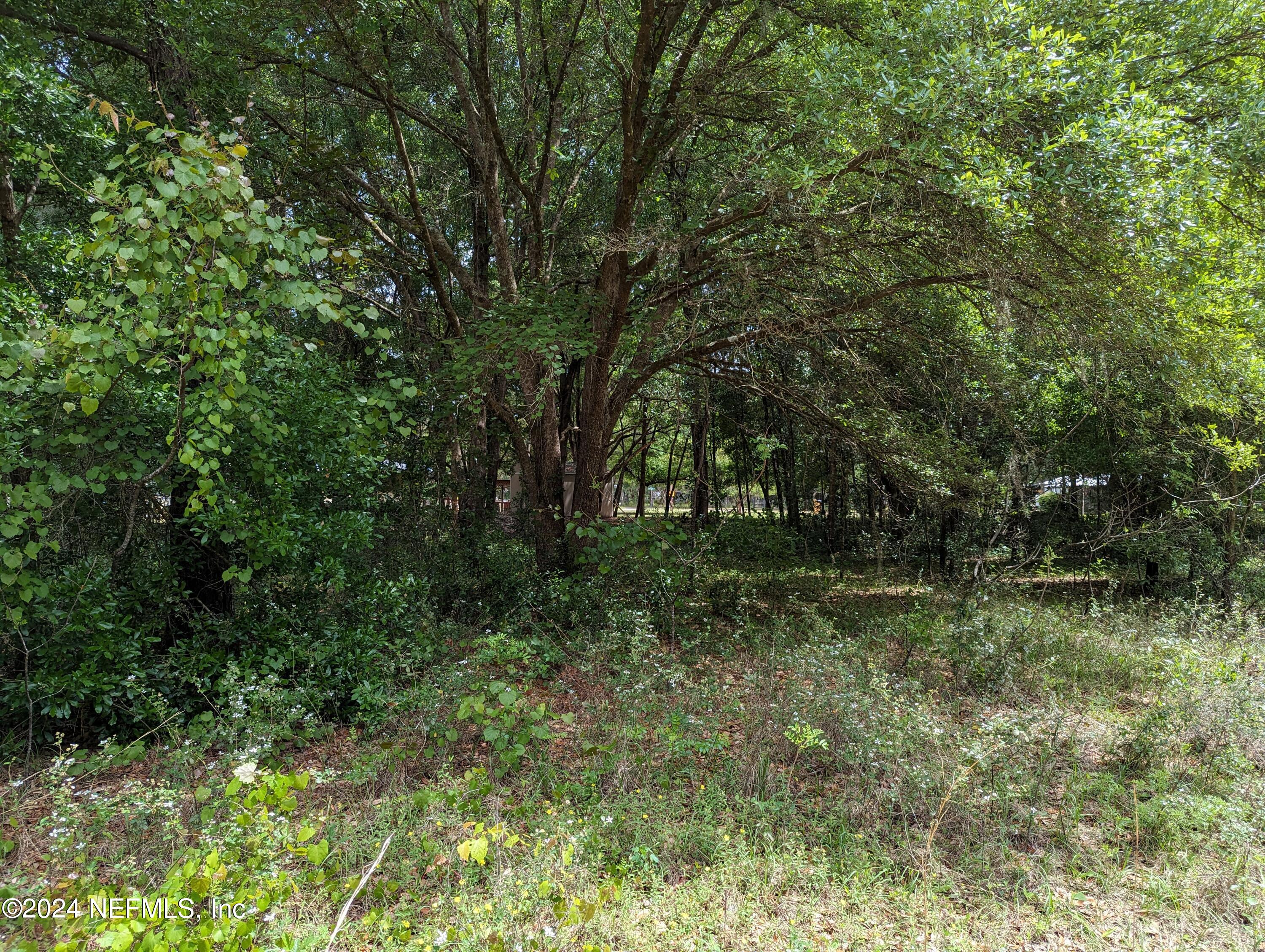 a view of outdoor space and trees