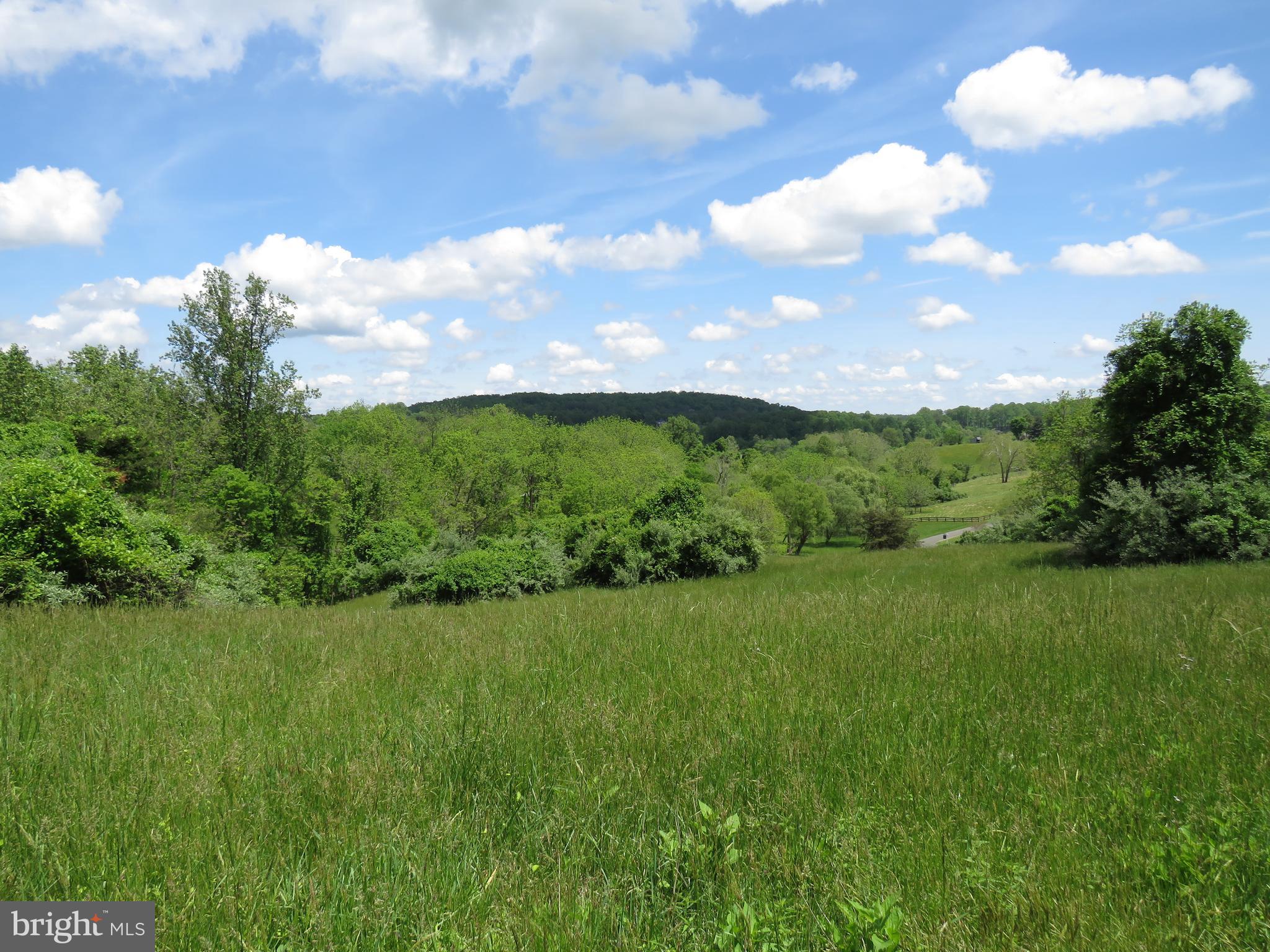 Pasture Build Site with Mountain & Valley Views