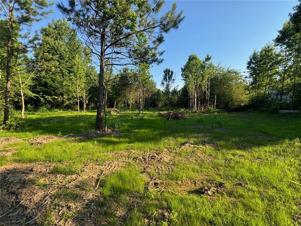 a view of a backyard with green space