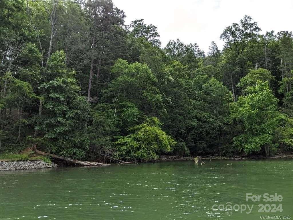 a view of a lake with a yard