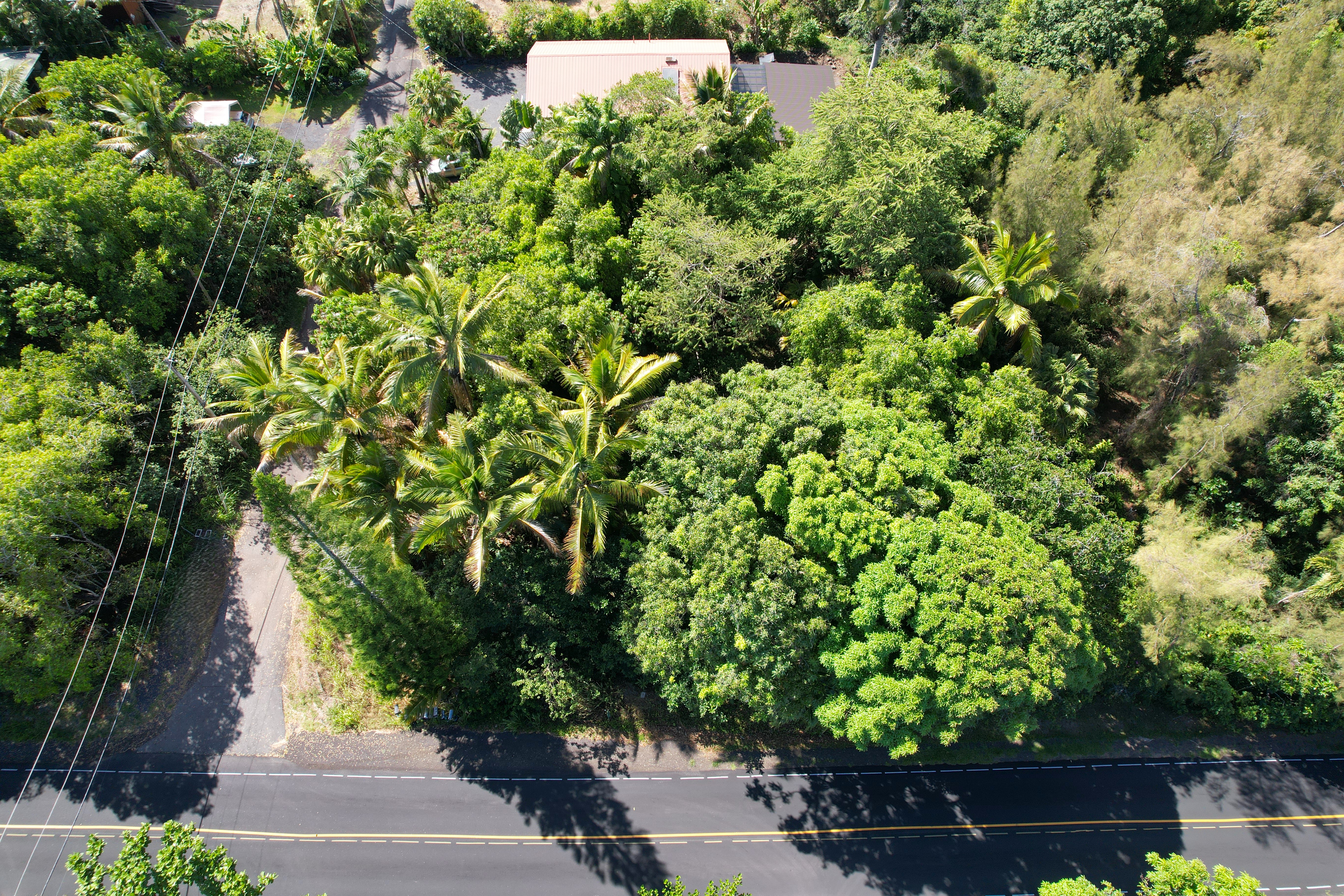 an aerial view of a house with a yard and tree s