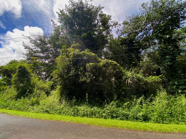 $20,000 | 6 Heepali Street | Hawaiian Parks