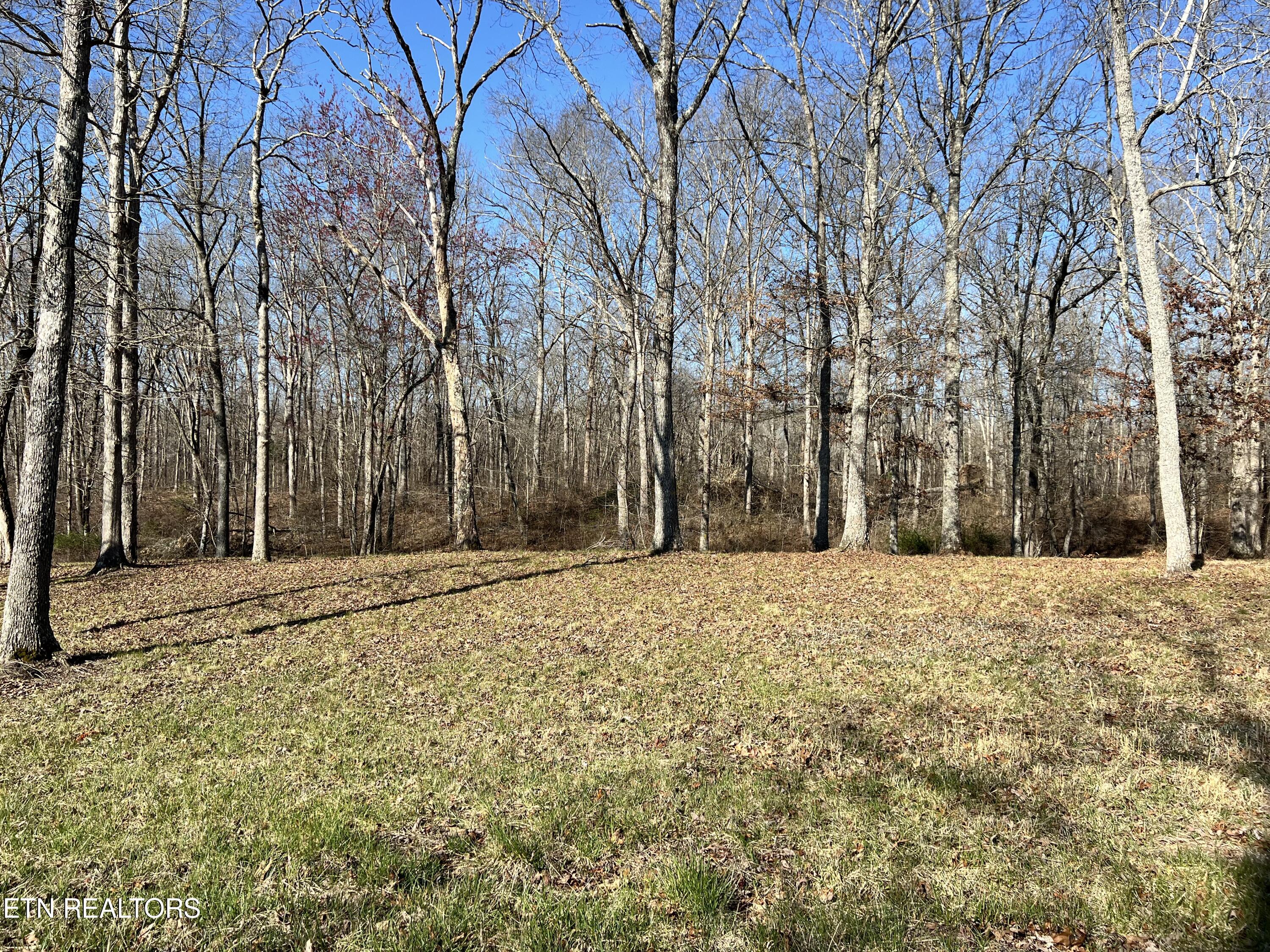 Lot 9 Catoosa Ridge