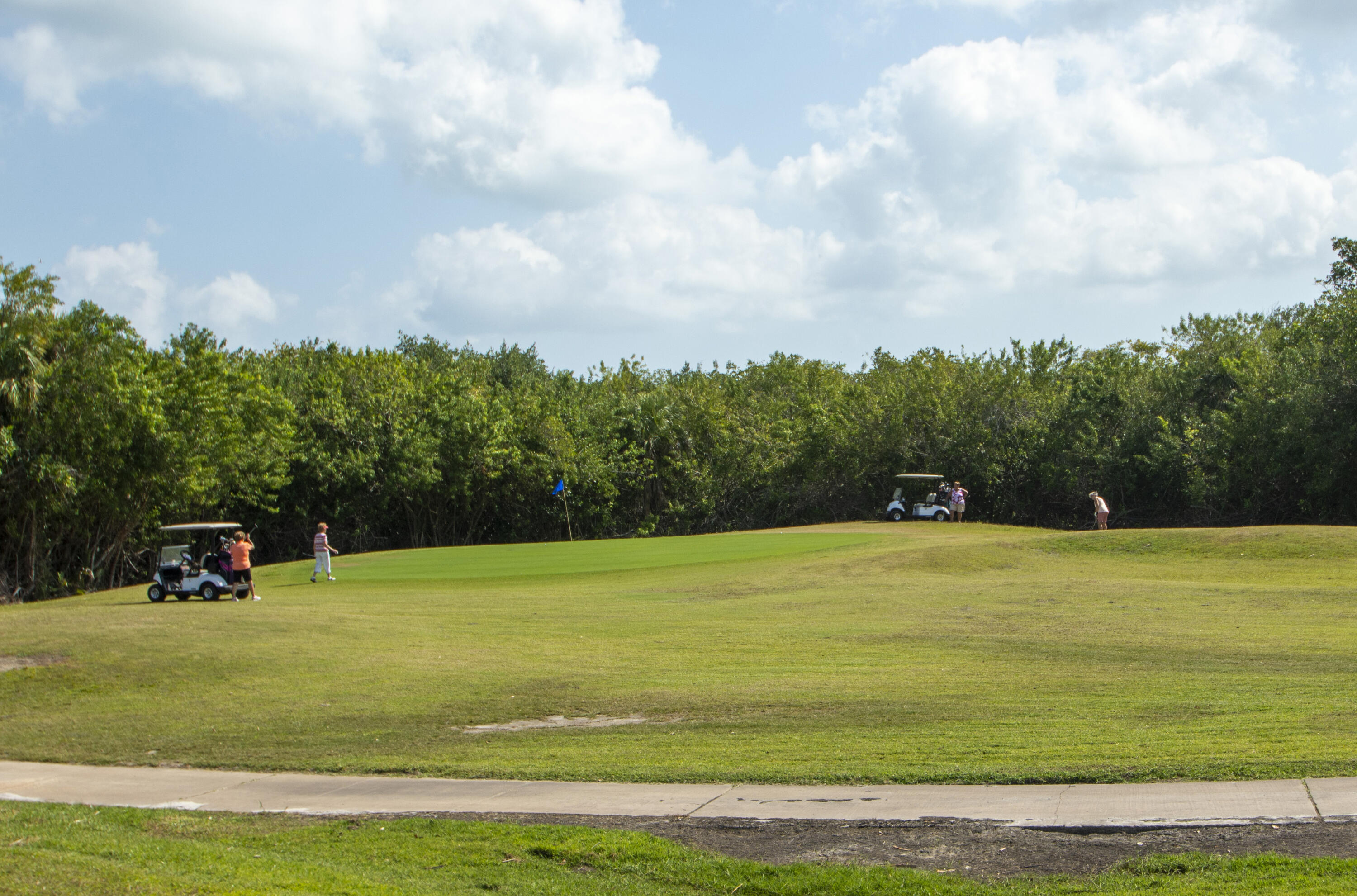 a view of a golf course with a bench