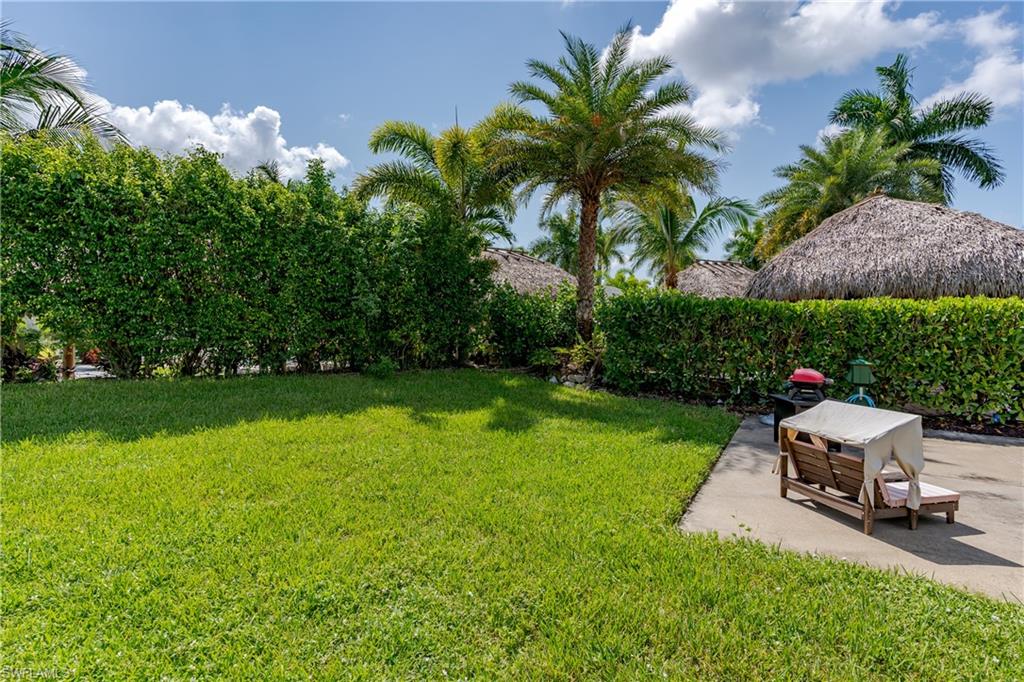 a garden with a bench and trees