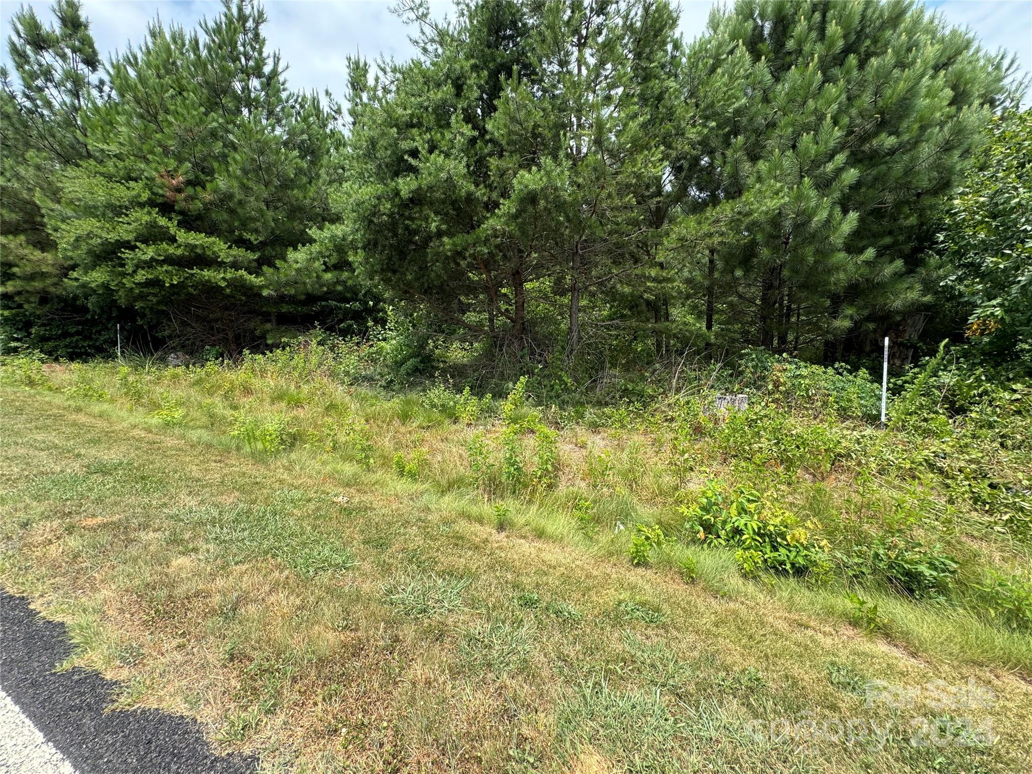 a view of outdoor space and yard