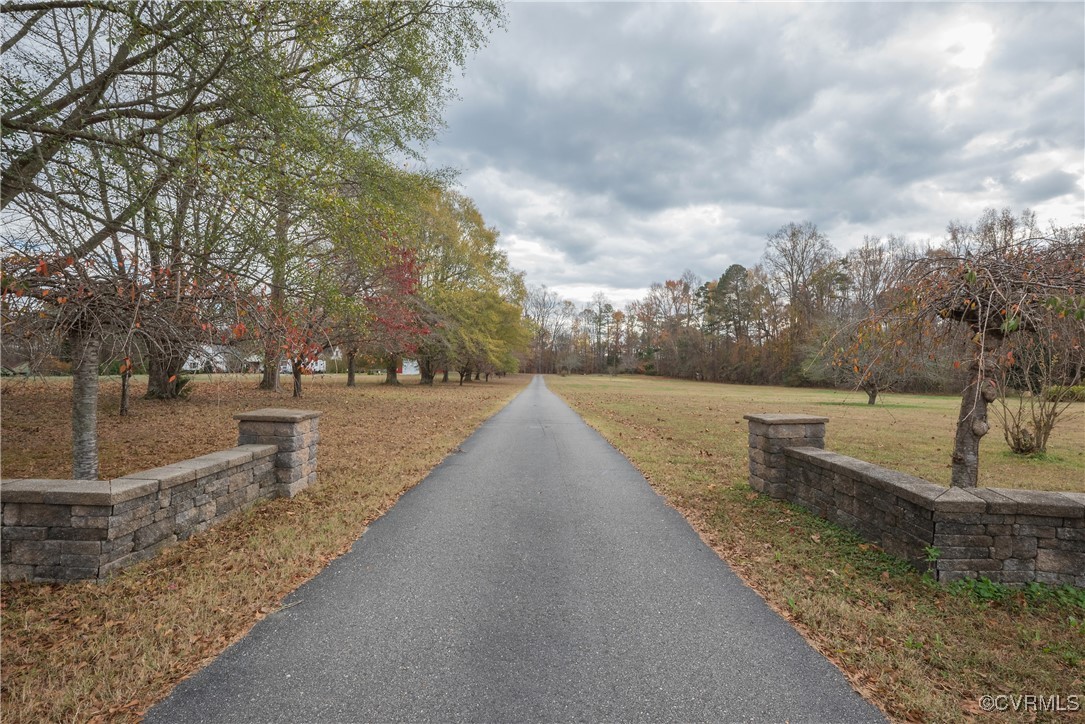 a view of a yard with large trees