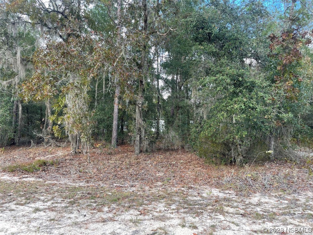 a view of outdoor space and trees