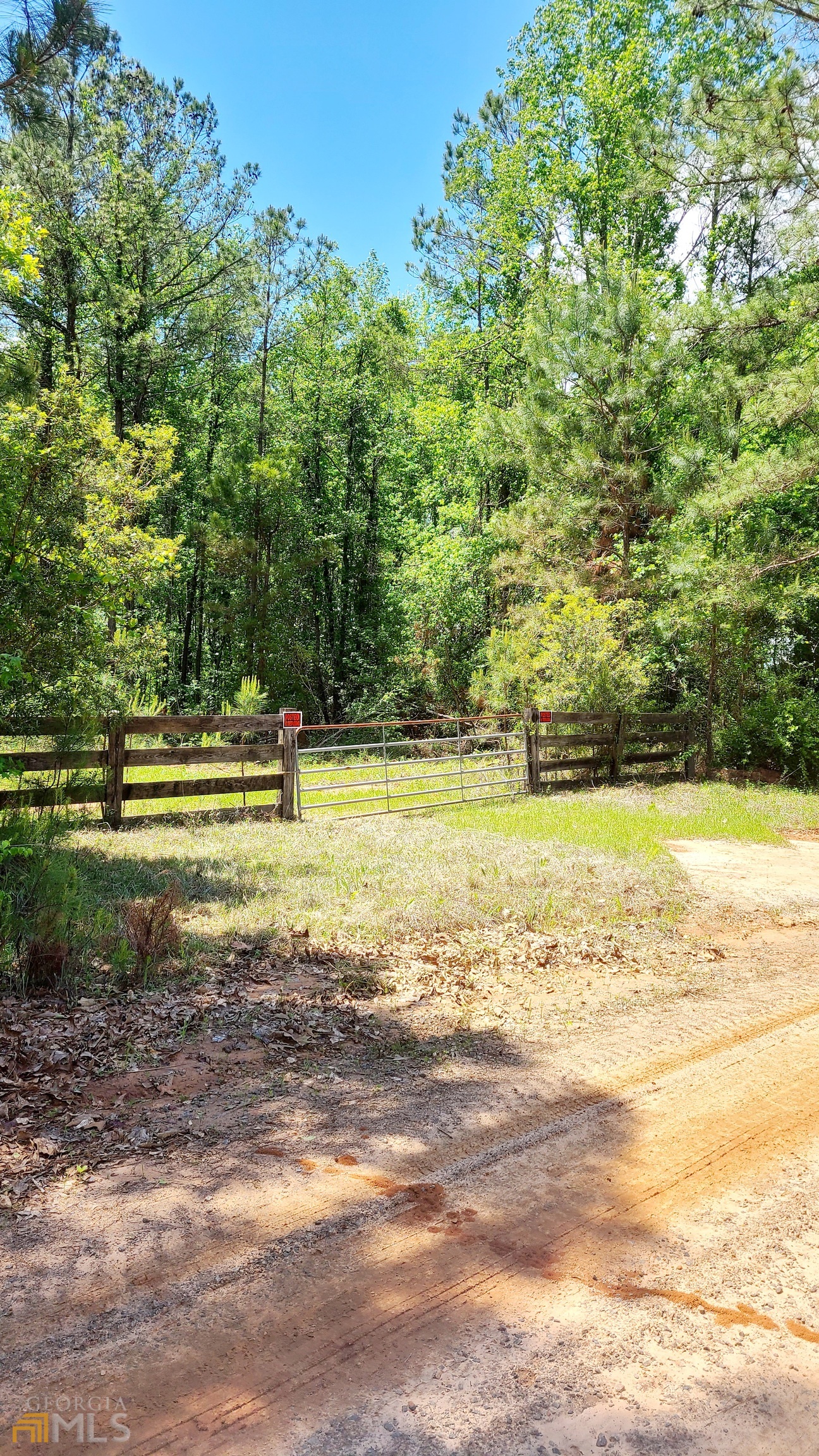 White Dirt of Georgia