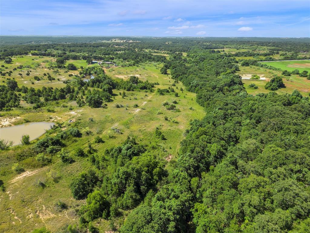 a view of a city with lush green forest