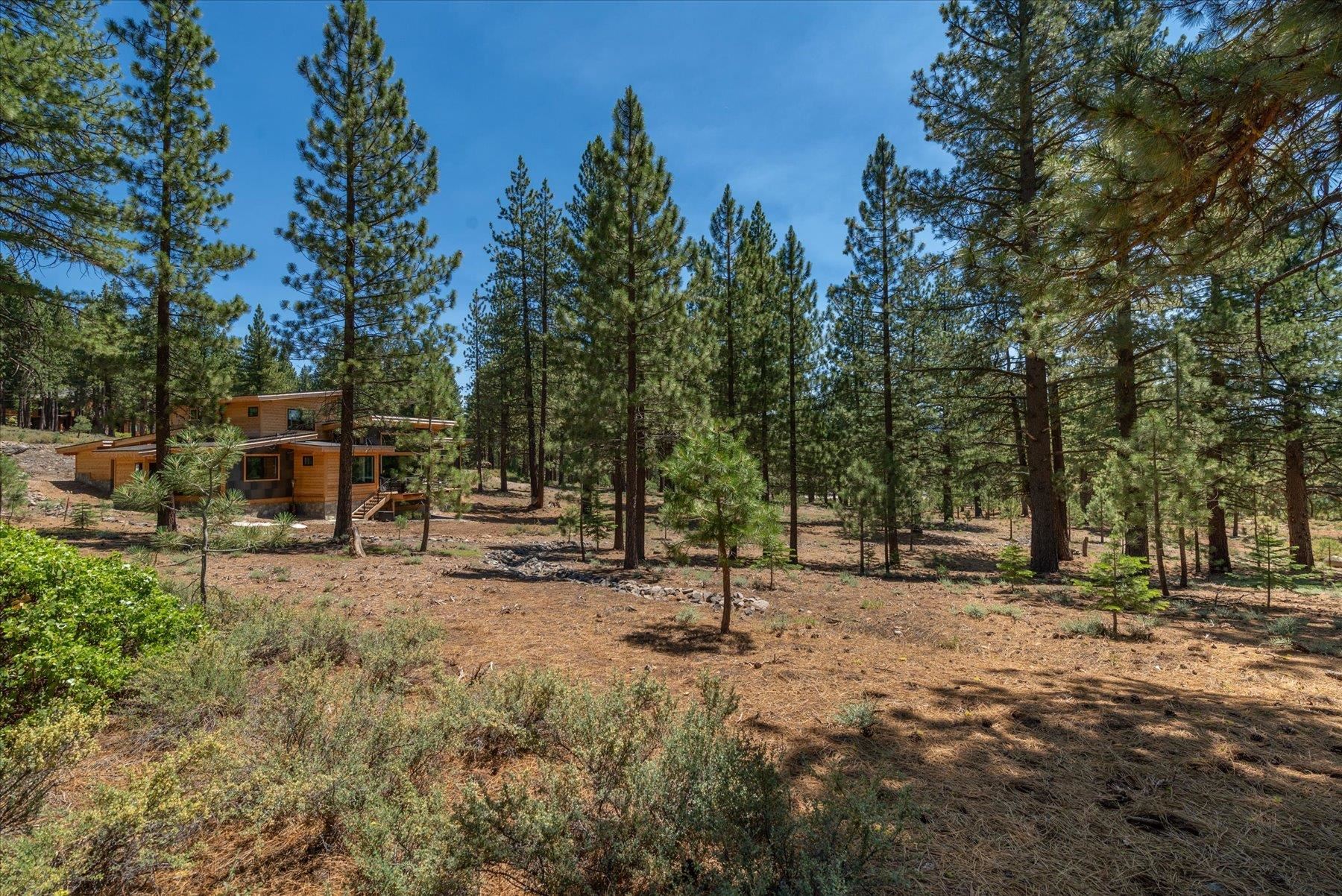 a view of outdoor space with trees