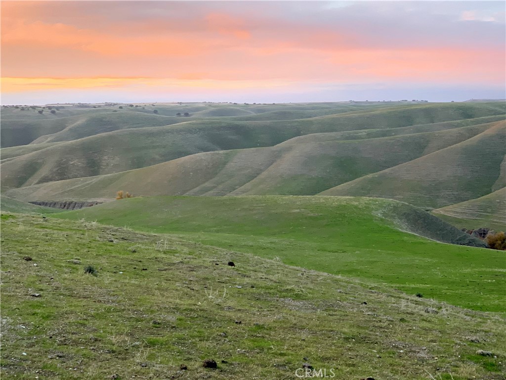 a view of a field with an ocean