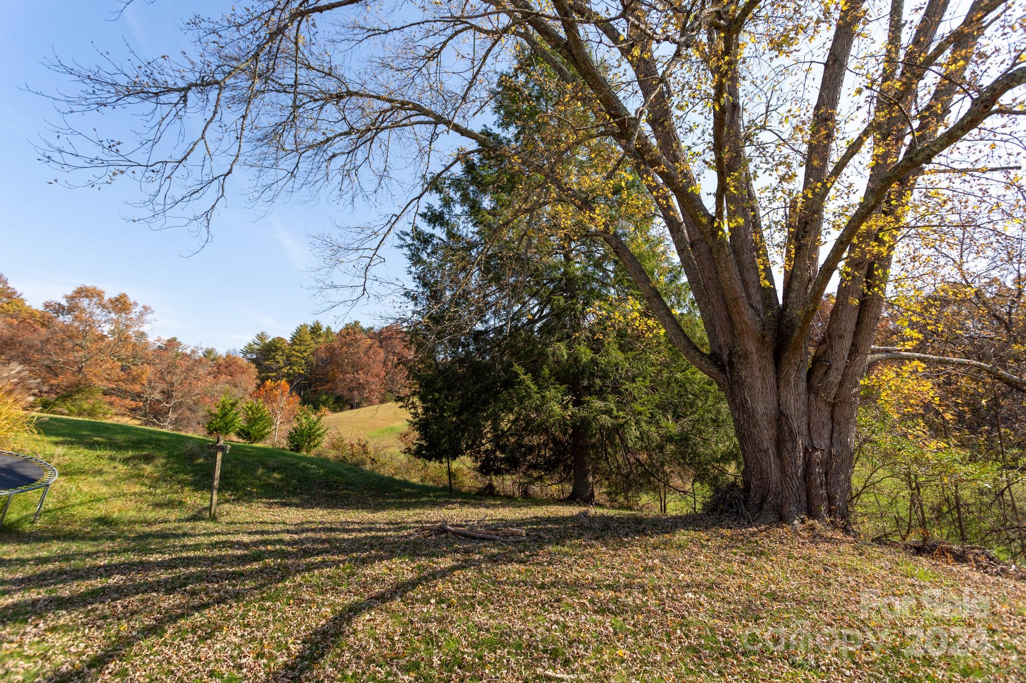 a view of a yard with an trees