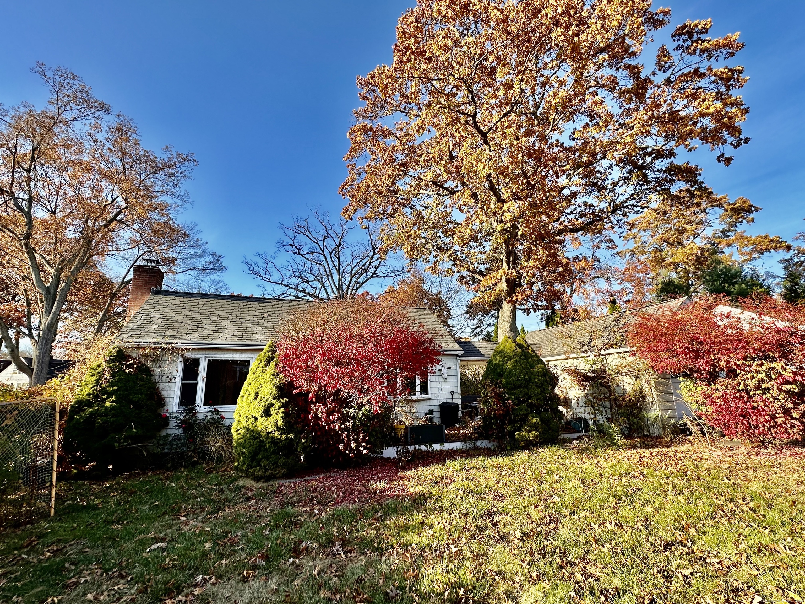 a front view of house with yard