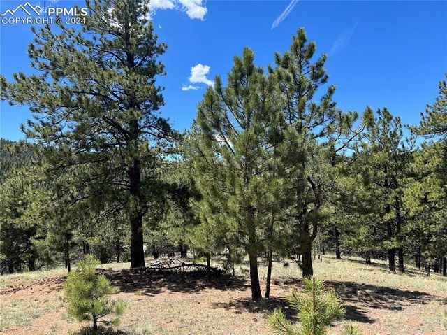 $18,000 | 506 Copper Mountain Drive | Cripple Creek Mountain Estates