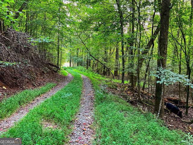 $1,995,000 | 241-acres Legion Road