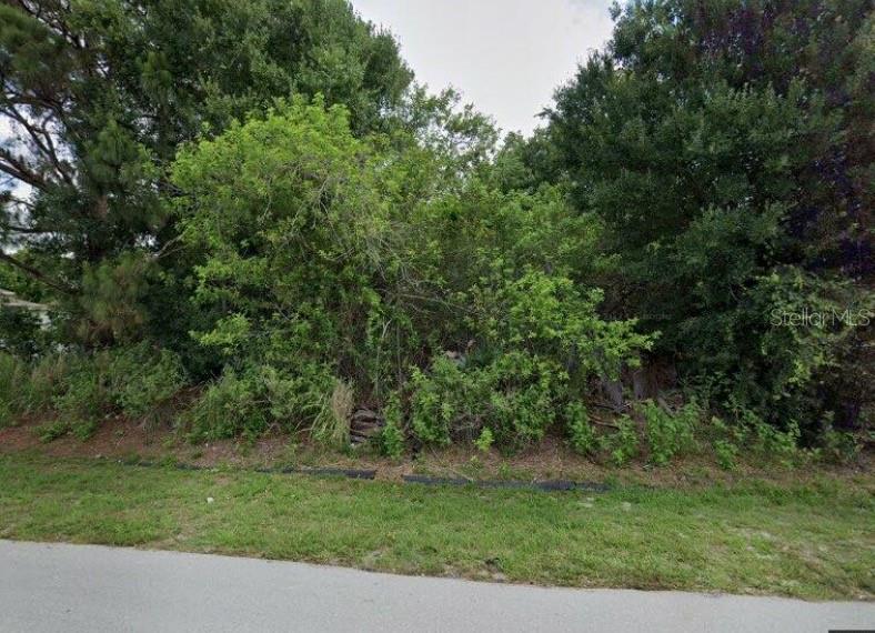 a view of a yard with a tree