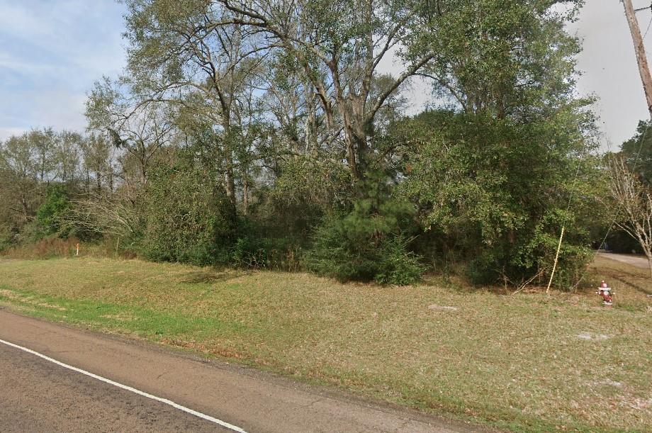 a view of a yard with a tree